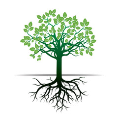 Wall Mural - Tree and Roots. Vector Illustration.