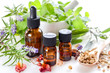 alternative therapy with essential oils and herbs