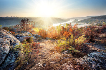 Wall Mural - dawn on banks of mountain river