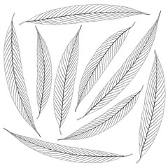 contoured willow leaves