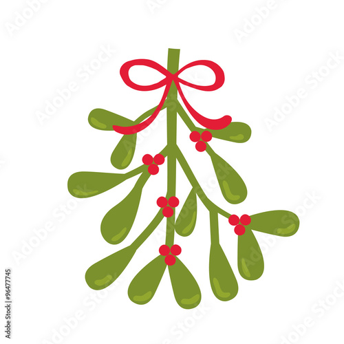 Fotografie, Obraz Christmas Card with Mistletoe design vector illustration