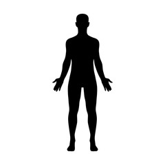 male human body belonging to an adult man