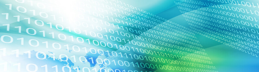 Binary Web header