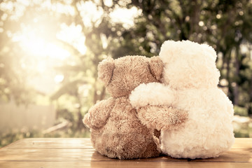 Couple teddy bears in love's embrace sitting on wooden table