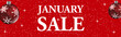 january sale web banner