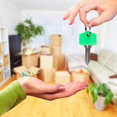 Wall Mural - Hand with house key.