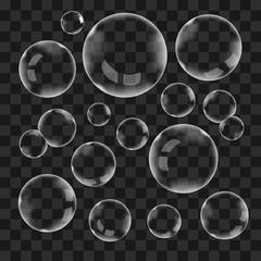 Wall Mural - Set of transparent vector soap bubbles