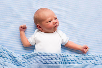 Wall Mural - newborn baby boy on a blue blanket
