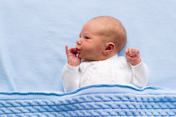 Wall Mural - newborn baby boy on a blue blanket