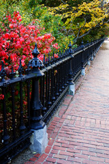 Wall Mural - Boston Public Garden..