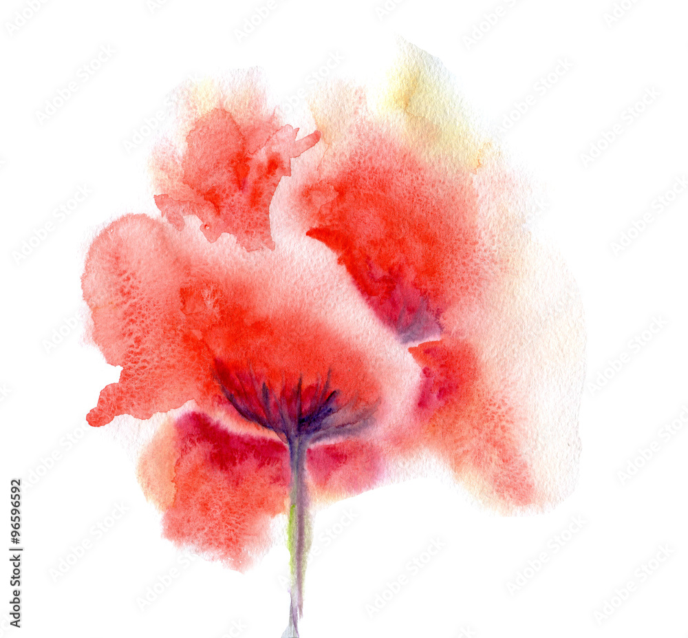 Obraz na płótnie Watercolor flower poppy w salonie