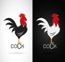 Vector Image Of An Cock Design On White Background And Black Bac