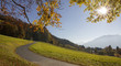 Höhenweg am Tegernsee, goldene Herbstlandschaft