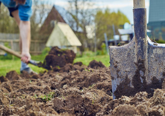 A shovel stuck in the ground against a young man digging the earth to plant potatoes