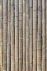  Bambus