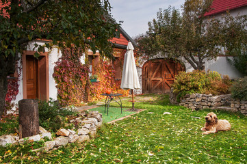 Peaceful rural idyllic  variegated autumn garden with dog