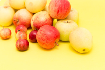 ripe apples on a yellow background