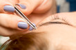 © schankz - Grooming the eyebrows in a beauty salon