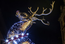Christmas Reindeer At Covent Garden In London