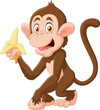 Cartoon funny monkey holding banana isolated on white background