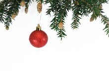 Red Bauble Hanging On Christmas Tree Branch