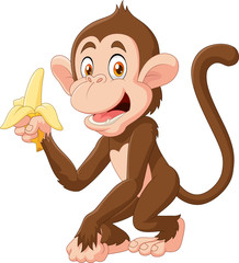 Poster - Cartoon funny monkey holding banana isolated on white background