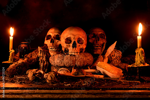 Still life with three skulls, dry fruit and hay