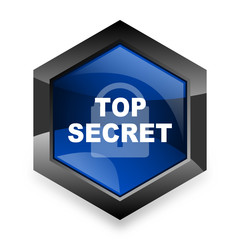 Poster - top seret blue hexagon 3d modern design icon on white background