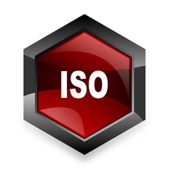 Poster - iso red hexagon 3d modern design icon on white background
