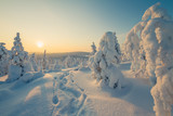 Fototapeta Tęcza - Winter landscape with snowshoes track