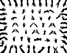 Black Silhouettes Of Various Positions Of Hands, Vector