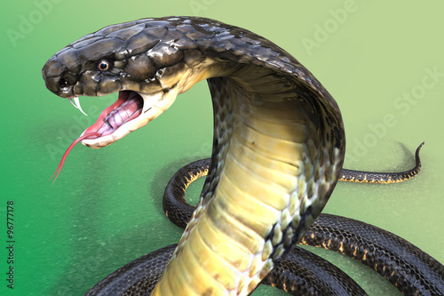 Fotografía Close-Up Of 3D king Cobra The world's longest venomous snake on green
