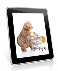 Wall Mural - british cat with shopping cart isolated on white. kitten osolate