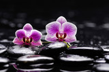 Fototapeta Kuchnia - Still life with beautiful two orchid and therapy stones 