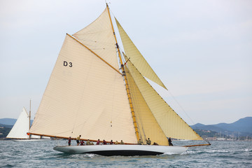 les voiles de saint tropez