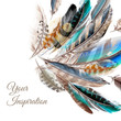 Fashion  vector background with blue white and brown  feathers i
