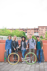 Wall Mural - Group of young multiethnic friends