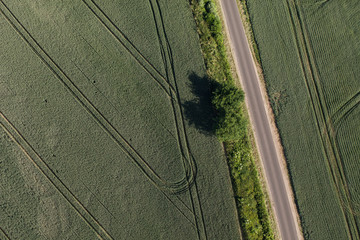 aerial view of village road and harvest fields