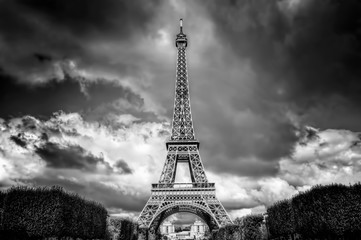 Wall Mural - Eiffel Tower seen from Champ de Mars park in Paris, France. Black and white