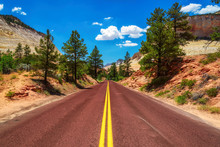 American Road In Zion National Park, Utah