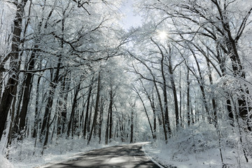  Snowy Winter Road Scene