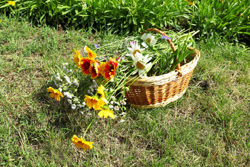 Poster - Beautiful bouquet of wild flowers on meadow outdoors