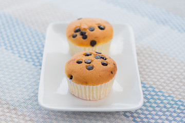 Canvas Print - Chocolate Chip Cupcakes