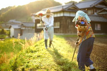 Mowing Persons In Rural Area - 地方の農家で草刈りをする高齢者夫婦
