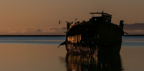 Wall Mural - Panoramic view of abandoned steel-ship and seagulls at twilight.