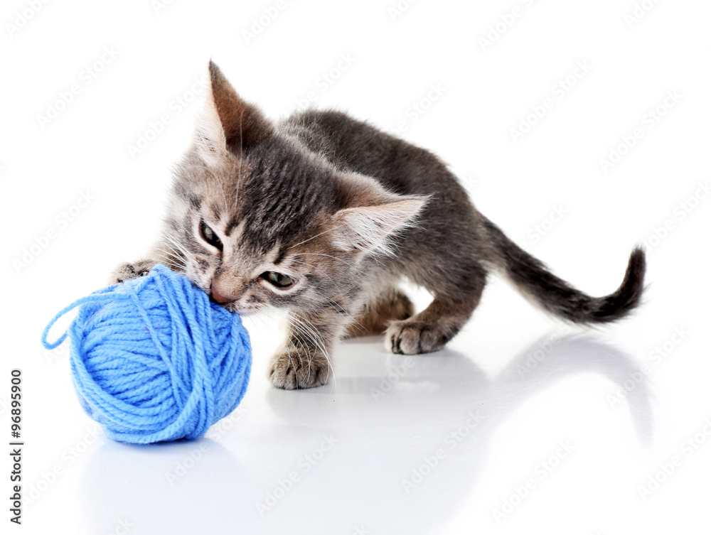 Cute little grey kitten with skein of thread, isolated on white