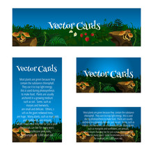 Set Of Cards With The Image Of The Glade, Mushrooms And Berries