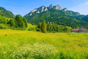 Green field and view of Trzy Korony in Pieniny Mountains, Poland