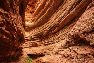 Wall Mural - valley of red sandstone