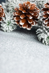 Canvas Print - branch of Christmas tree with pinecone